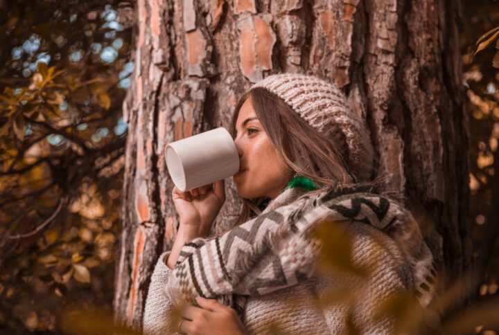 defensas para el otoño