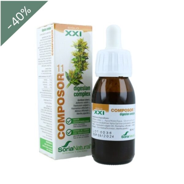 Composor 11 digeslan complex