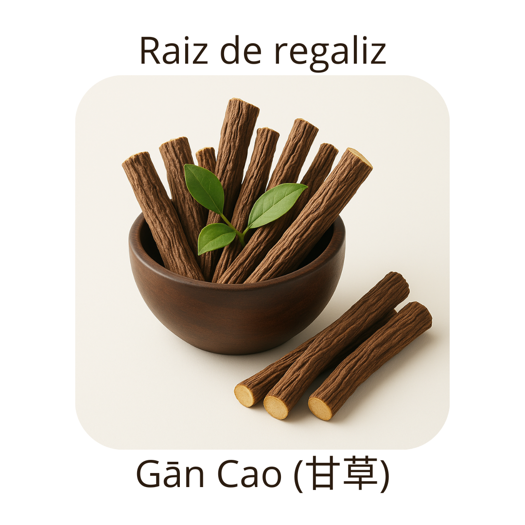 La Raiz de regaliz