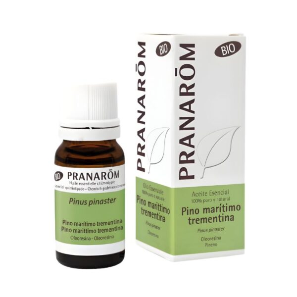 Aceite esencial de Pino Marítimo