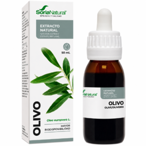 Olivo extracto-Herbaterapia
