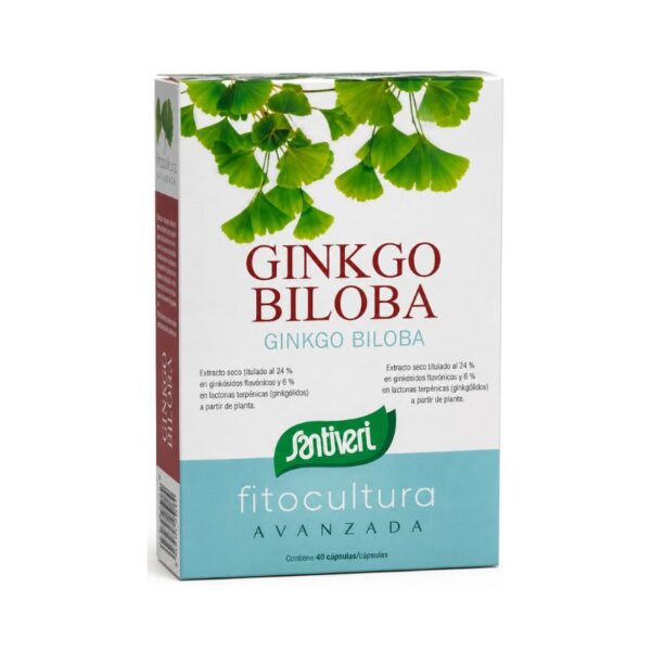Ginkgo biloba